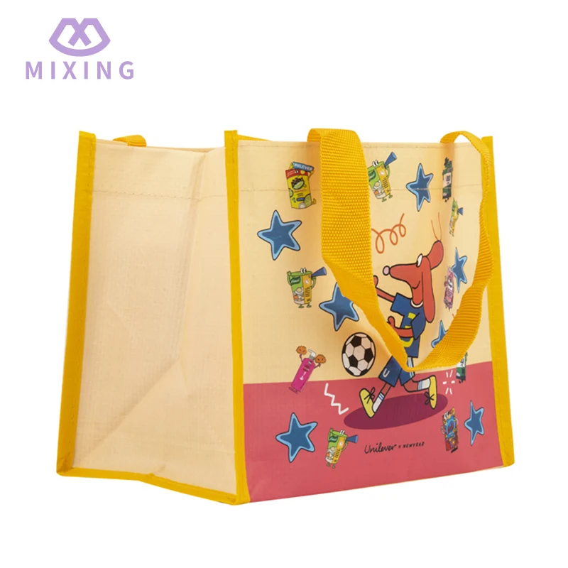 PP Woven Lunch Tote Bag